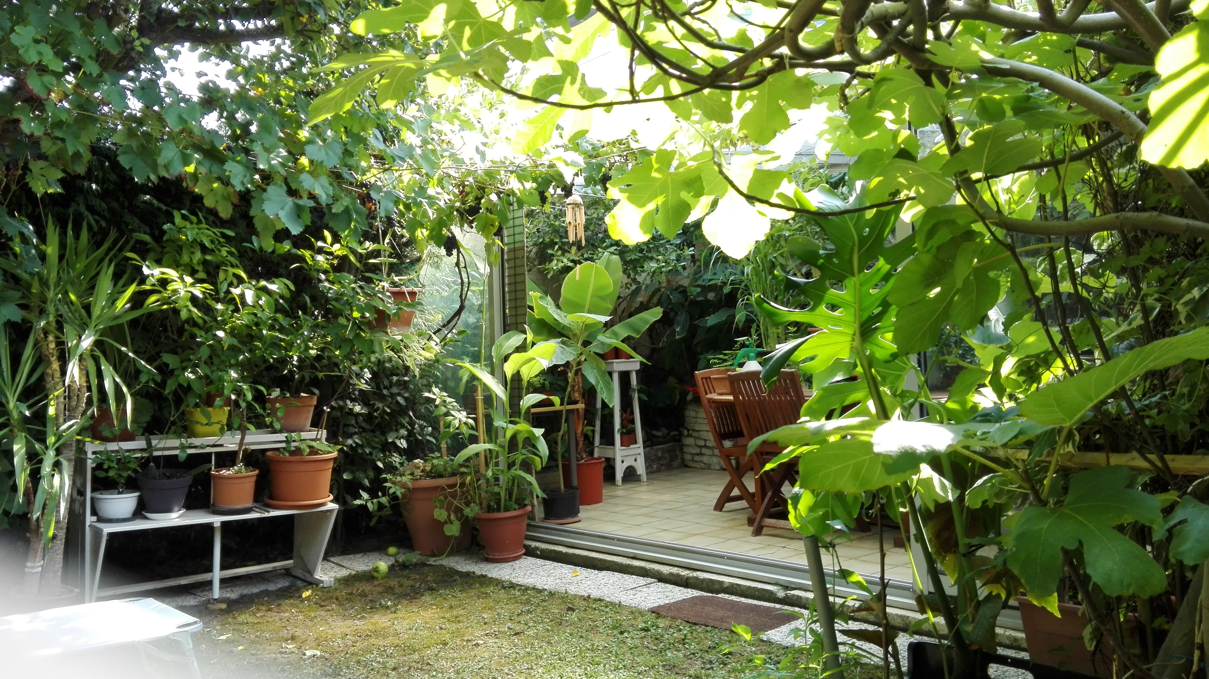jardin
